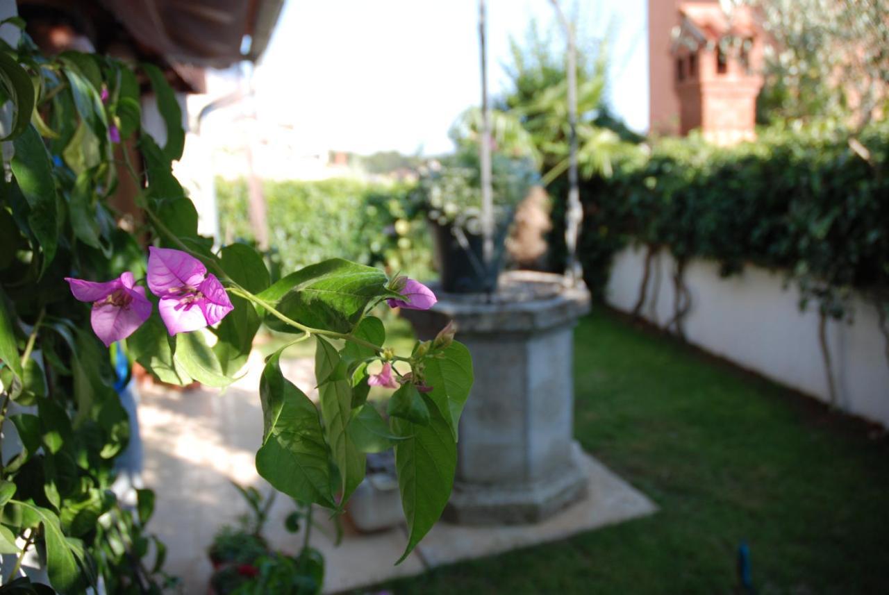 B&B Sea Joy Rovinj Exteriér fotografie